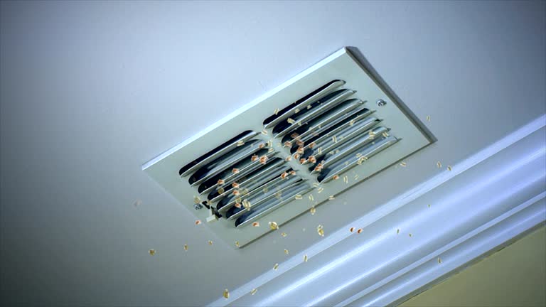 Best Best Air Duct Cleaning Company  in Sulphur Springs, AR