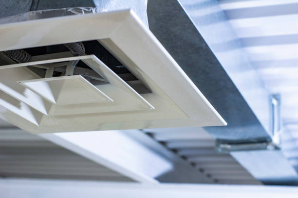Best Air Duct Mold Removal  in Sulphur Springs, AR