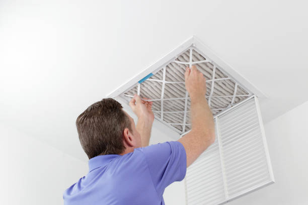 Air Duct Mold Removal in AR